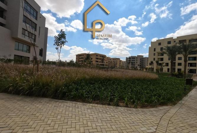 8461666 - صورة العقار 3