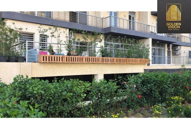 8164047 - Property Image 3