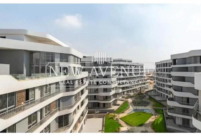 8430167 - Property Image 3