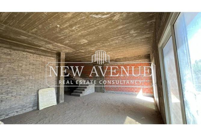 8455179 - Property Image 3