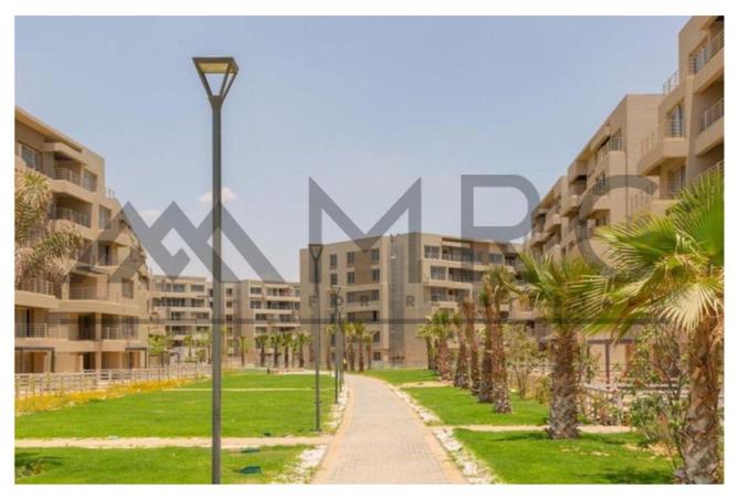 8136458 - Property Image 3