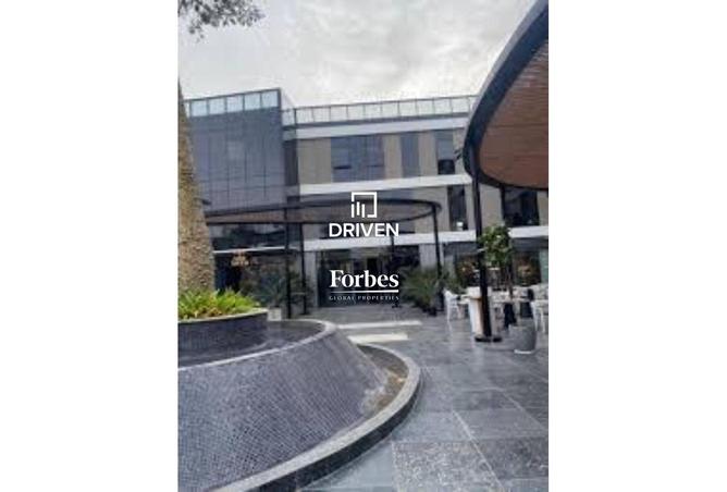 8442452 - Property Image 3