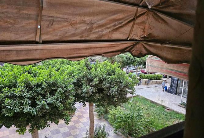 8401778 - صورة العقار 2