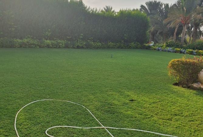 8288320 - Property Image 3