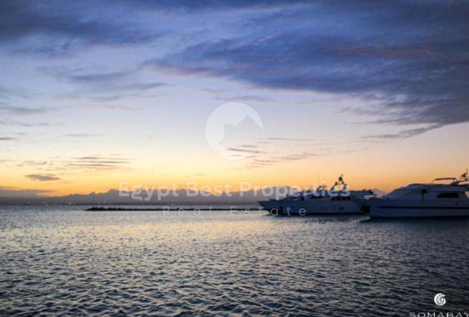 7962350 - صورة العقار 2