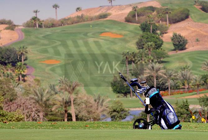 7992080 - صورة العقار 2