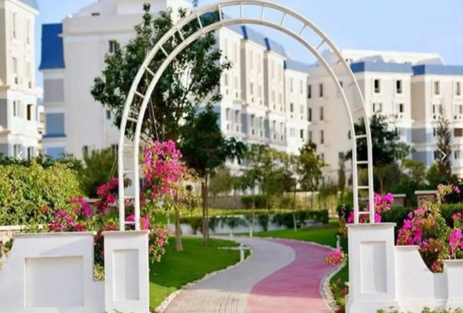 8431606 - صورة العقار 2