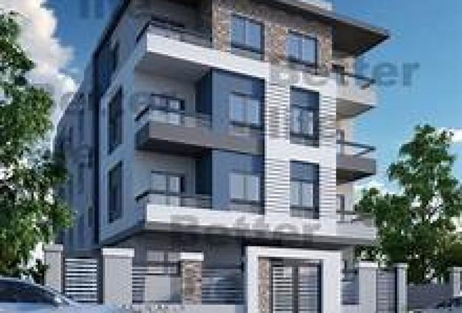 8125326 - Property Image 2