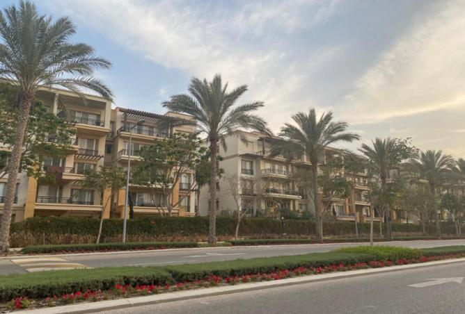 8396211 - Property Image 3