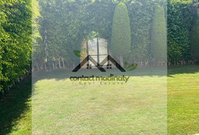 7908591 - Property Image 2