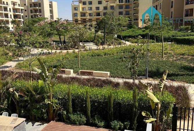 8231524 - صورة العقار 2