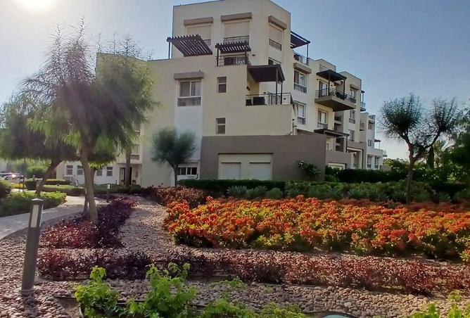 7972257 - صورة العقار 3