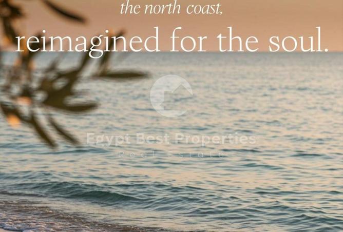 8402746 - صورة العقار 2