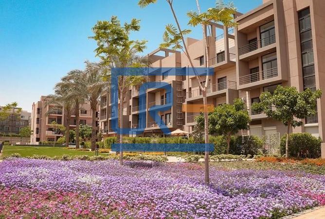 7989912 - Property Image 3