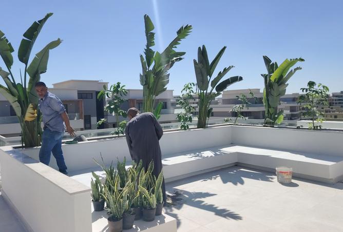 8305561 - صورة العقار 2