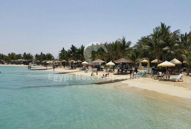 8207187 - صورة العقار 3