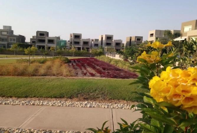 8488878 - صورة العقار 2