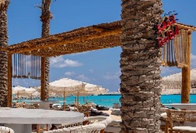 7998275 - صورة العقار 2