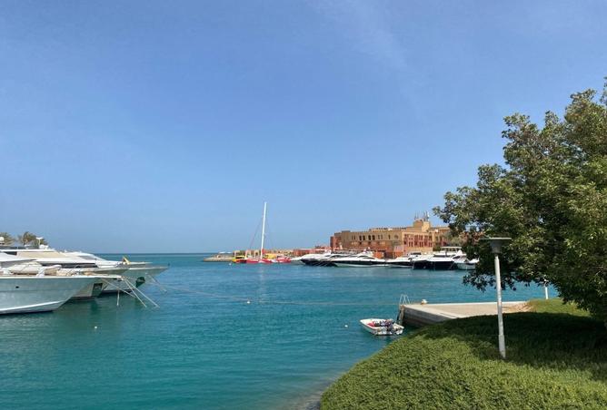 8398953 - Property Image 3