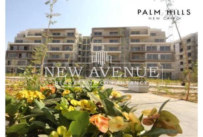 8175516 - Property Image 2