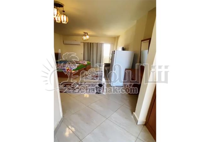 8236663 - Property Image 2