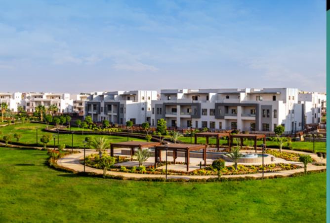 8144567 - صورة العقار 3