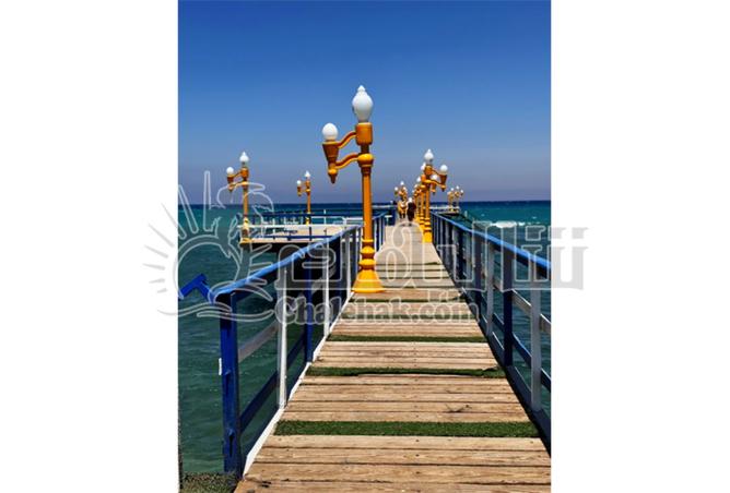 7963036 - صورة العقار 2