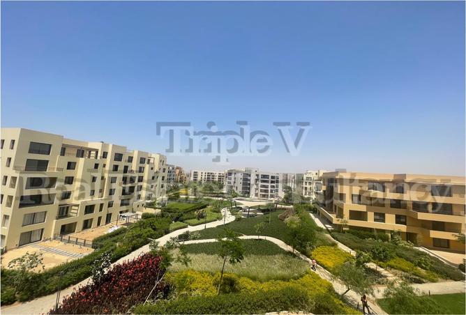 7967049 - صورة العقار 3