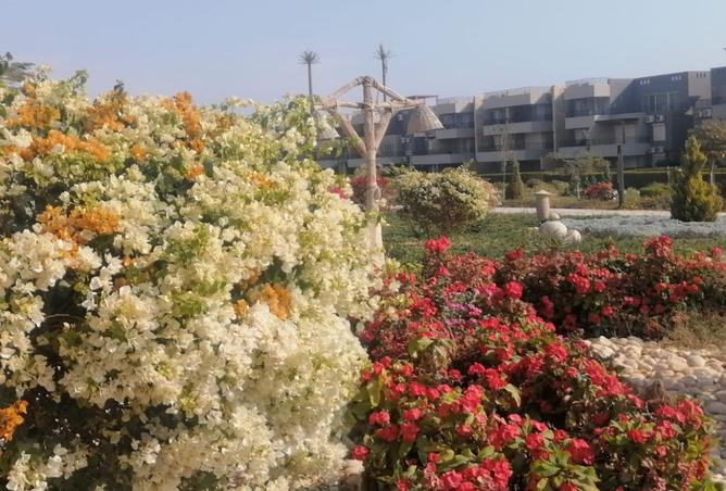 8337831 - Property Image 3