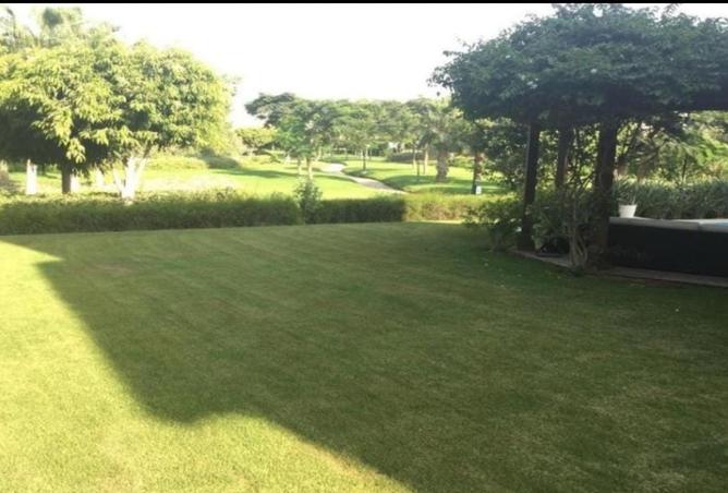 8198767 - صورة العقار 3