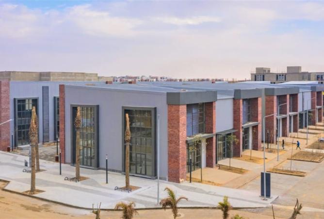 8239718 - الصورة الرئيسية للعقار