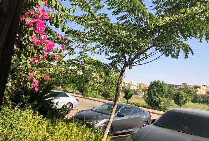 8241748 - Property Image 3