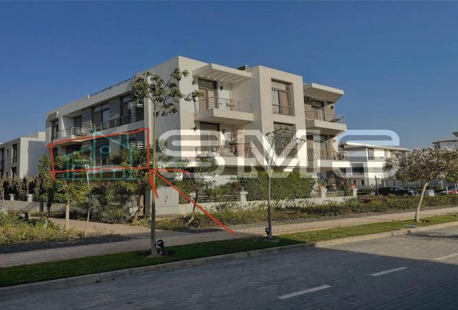 7975074 - Property Image 3