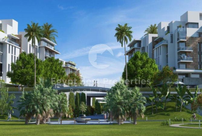 8058585 - Property Image 3