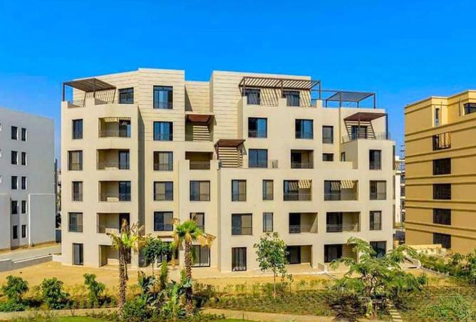 8447946 - Property Image 3