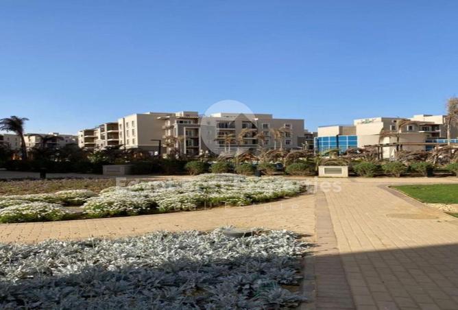 8209779 - صورة العقار 3