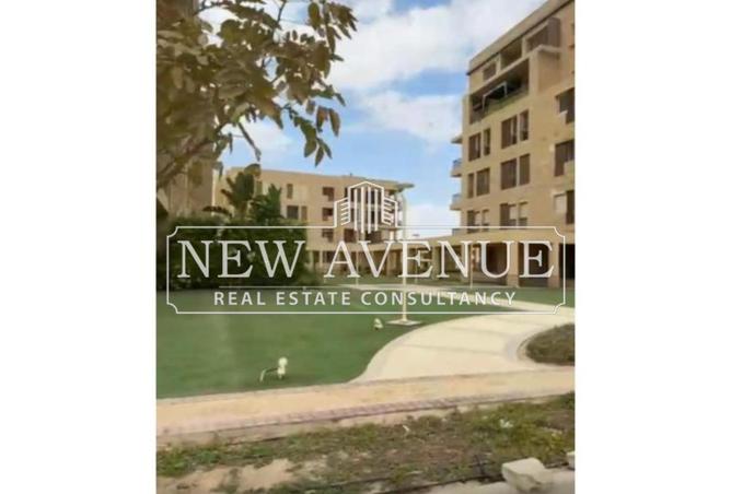 8362965 - Property Image 3