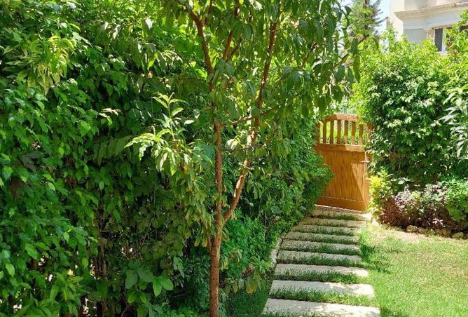 8538502 - صورة العقار 2