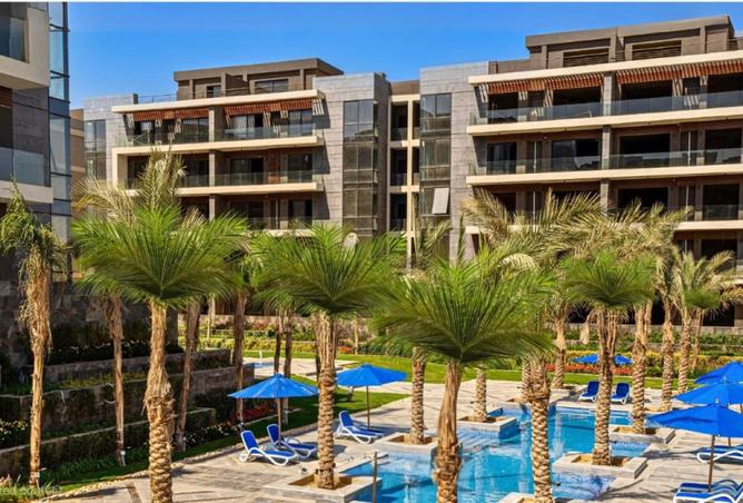 8391256 - Property Image 3