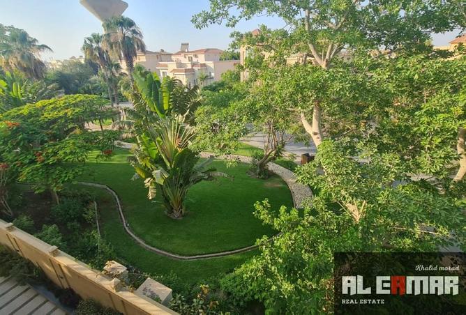 8089809 - Property Image 3