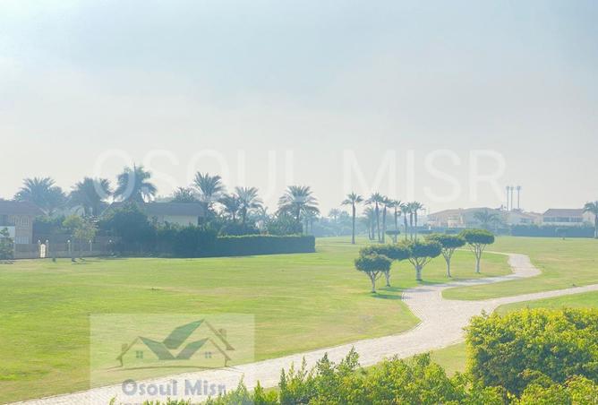 8243806 - صورة العقار 3