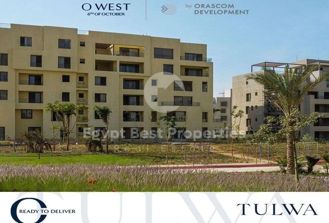 8159233 - Property Image 3