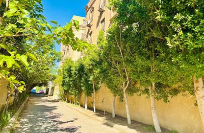 Apartment - 3 Bedrooms - 2 Bathrooms for sale in 10th District - Sheikh Zayed City - Giza