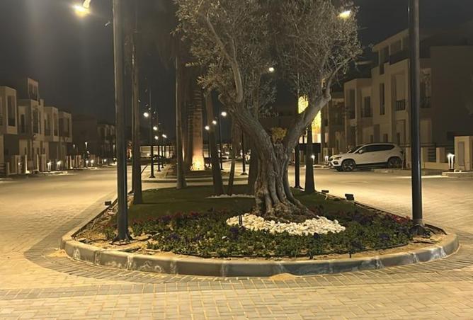 7934093 - صورة العقار 3