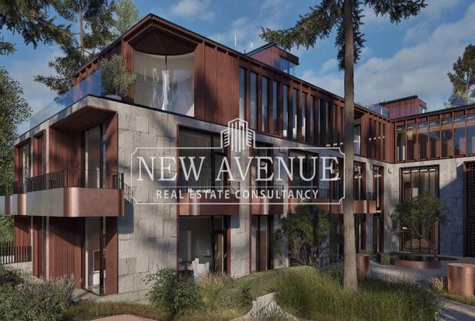 8186376 - Property Image 3