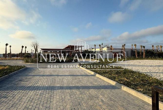 8431228 - صورة العقار 3