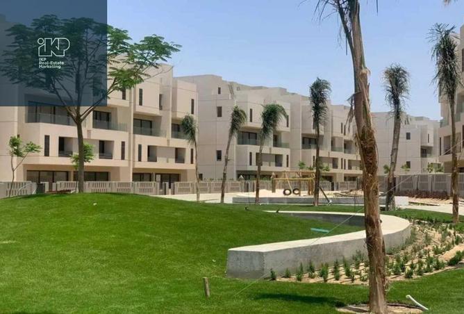 8036862 - صورة العقار 3