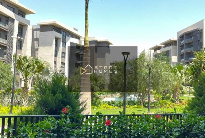 8194231 - الصورة الرئيسية للعقار