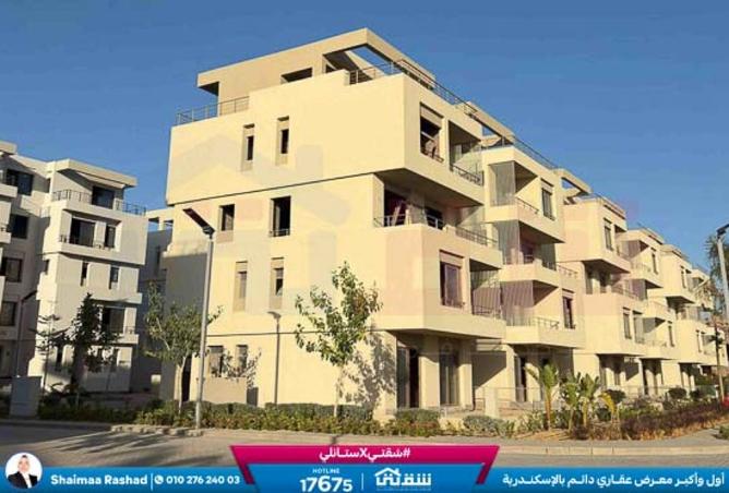 8424418 - Property Image 2