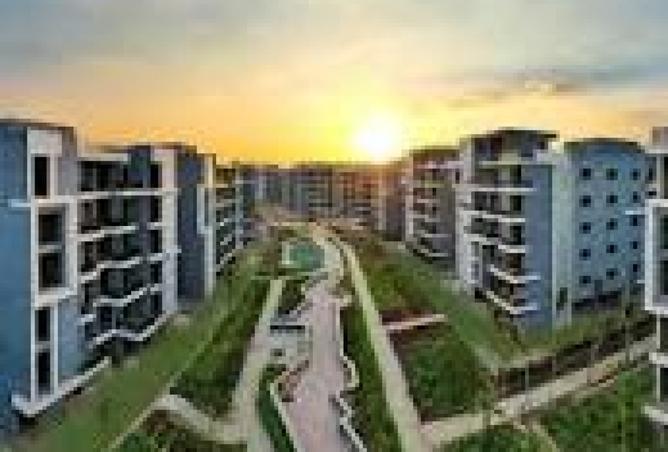 7896796 - Property Image 3